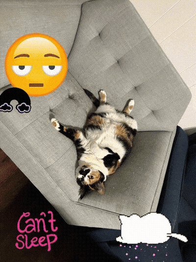 A Cat Is Laying On Its Back On A Couch With The Words " Can 'T Sleep " On The Bottom GIF