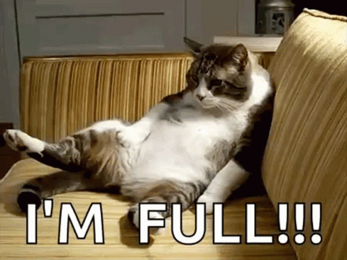A Cat Is Laying On Its Back On A Couch With The Words " I 'M Full " Above It GIF