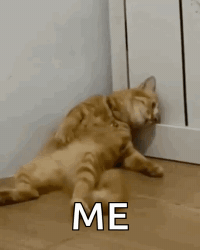 A Cat Is Laying On Its Back On The Floor With The Words `` Me '' Written Next To It . GIF