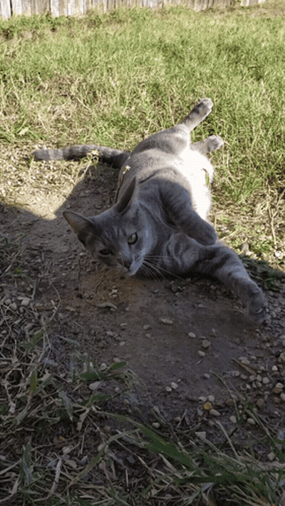 Outside GIFs