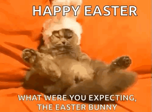 A Cat Is Laying On Its Back Wearing An Easter Bunny Hat . GIF