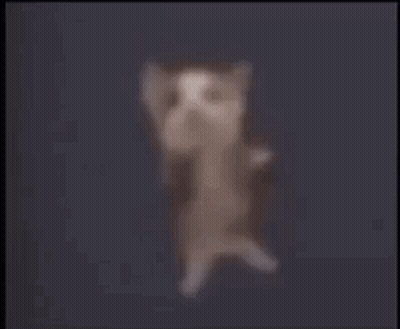 A Cat Is Laying On Its Back With Its Arms Outstretched And A Blurry Background . GIF