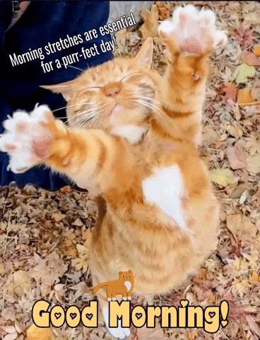 A Cat Is Laying On Its Back With Its Paws In The Air And A Good Morning Message Below It GIF