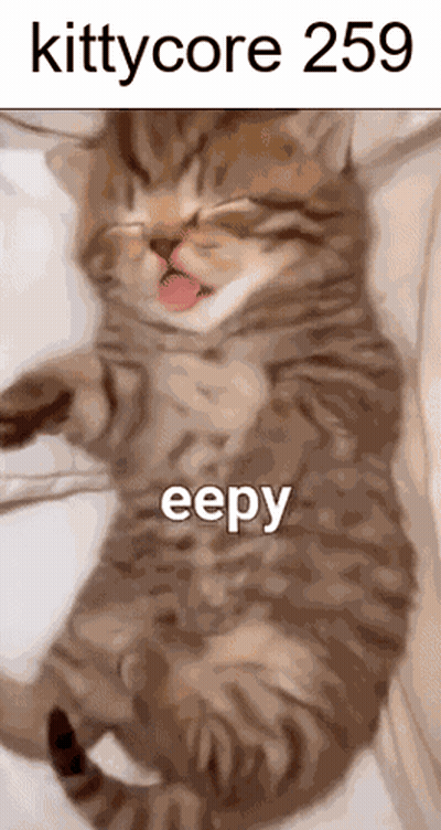 A Cat Is Laying On Its Back With Its Tongue Hanging Out And The Words Kittycore 259 Eepy GIF