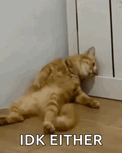 A Cat Is Laying On The Floor Next To A Door With The Words Idk Either Written On It . GIF