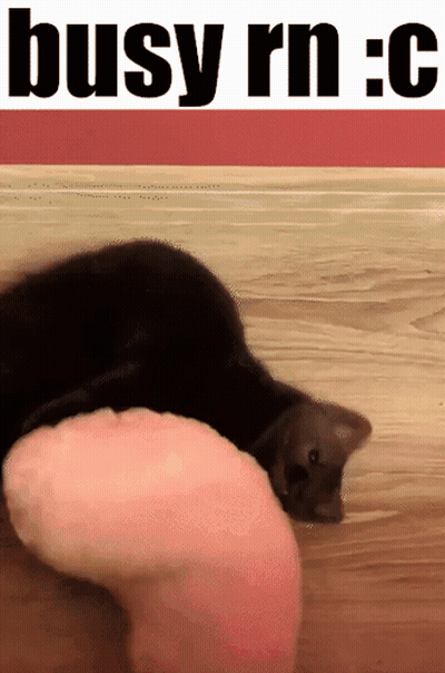 A Cat Is Laying On The Floor Next To A Person 'S Leg With The Words Busy Rn : C Above It GIF