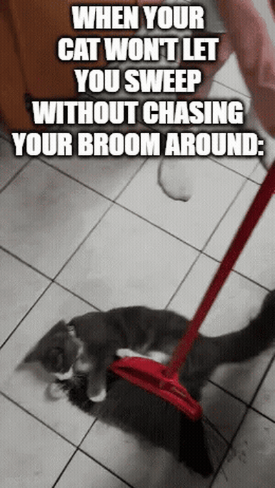 A Cat Is Laying On The Floor With A Broom In Its Paws . GIF