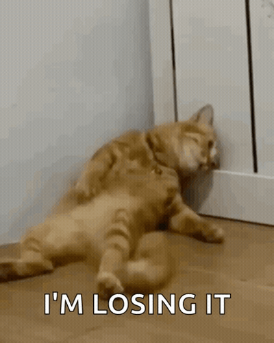 A Cat Is Laying On The Floor With The Words `` I 'M Losing It '' Written On The Bottom . GIF