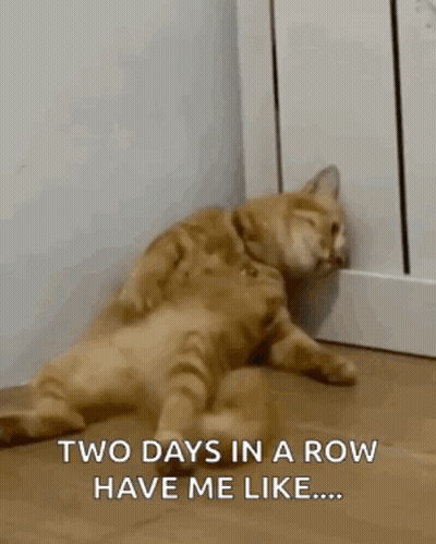 A Cat Is Laying On The Floor With The Words `` Two Days In A Row Have Me Like ... '' . GIF