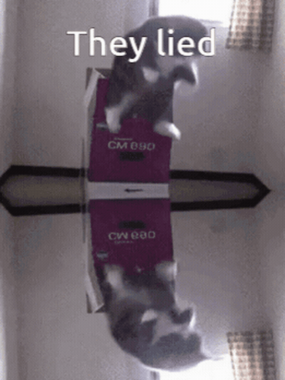 A Cat Is Laying On Top Of A Box That Says They Lied GIF