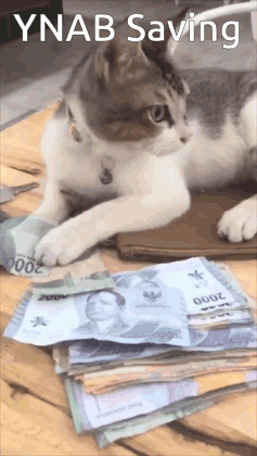A Cat Is Laying On Top Of A Stack Of Money With The Words Ynab Saving Above It GIF