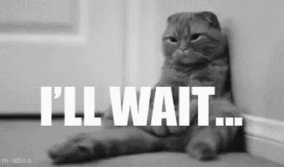 A Cat Is Leaning Against A Wall With The Words `` I 'Ll Wait '' Written Above It . GIF