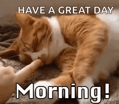 A Cat Is Licking Another Cat 'S Paw With The Words `` Have A Great Day Morning '' . GIF