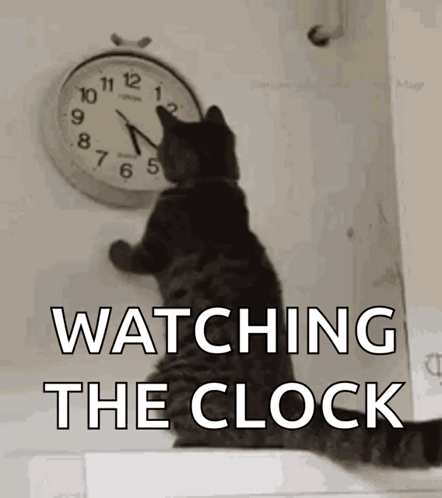 A Cat Is Looking At A Clock With The Words " Watching The Clock " Above It GIF