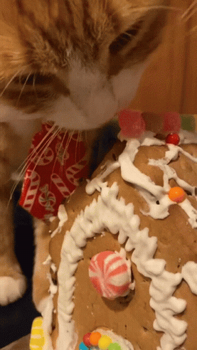 A Cat Is Looking At A Gingerbread House That Has Candy On It GIF