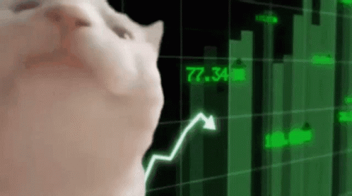 A Cat Is Looking At A Graph With An Arrow Pointing Up . GIF