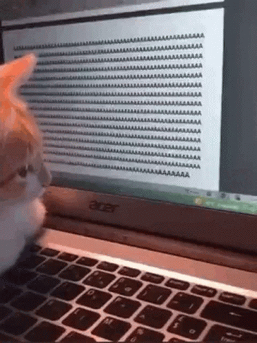 A Cat Is Looking At A Laptop Computer Screen With A Lot Of Text On It . GIF