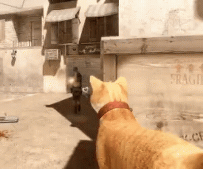 A Cat Is Looking At A Man In A Video Game GIF