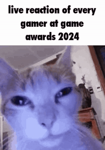 A Cat Is Looking At The Camera With A Live Reaction Of Every Gamer At Game Awards 2024 . GIF