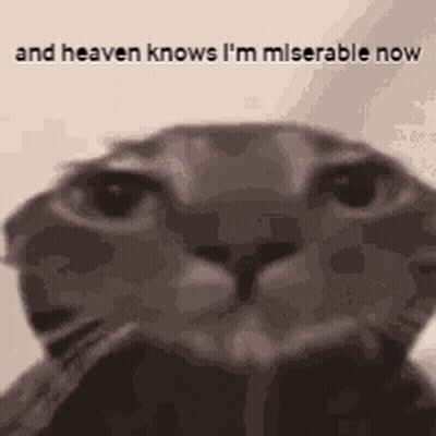 A Cat Is Looking At The Camera With The Words `` And Heaven Knows I 'M Miserable Now '' Behind It . GIF