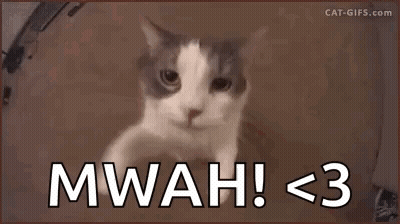 A Cat Is Looking At The Camera With The Words Mwah < 3 Below It GIF