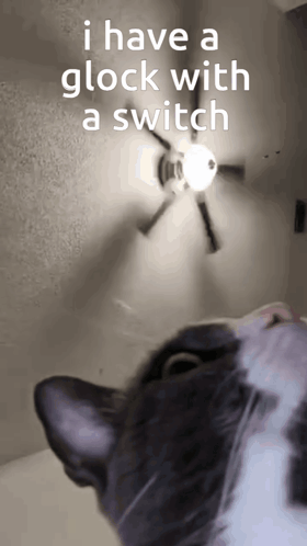 A Cat Is Looking Up At A Clock With The Words I Have A Glock With A Switch Above It GIF
