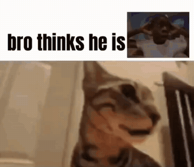 A Cat Is Making A Funny Face Next To A Picture Of A Man With His Hands On His Head . GIF