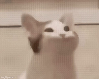 A Cat Is Making A Funny Face With Its Mouth Open And The Word Hazy Written Above It . GIF