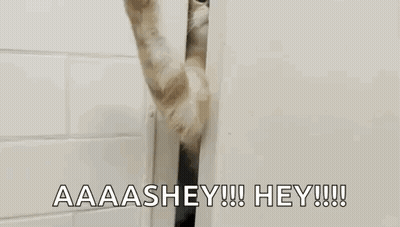 A Cat Is Peeking Out From Behind A Door And Saying `` Aaaashhey !!! Hey !!! '' . GIF