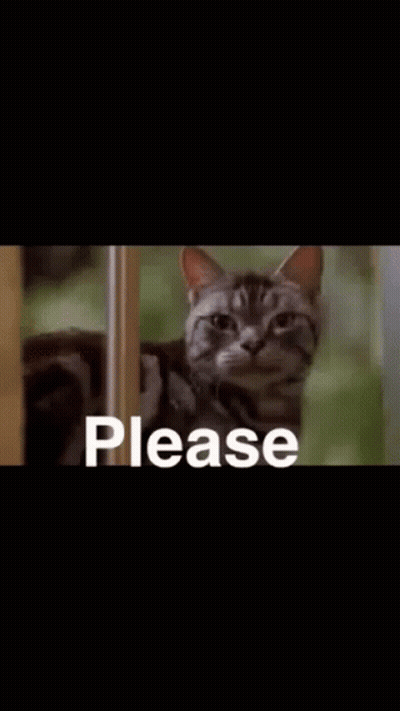 A Cat Is Peeking Out From Behind A Door With The Word Please Written On It . GIF