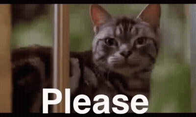 A Cat Is Peeking Out From Behind A Door With The Word Please Written On The Bottom . GIF