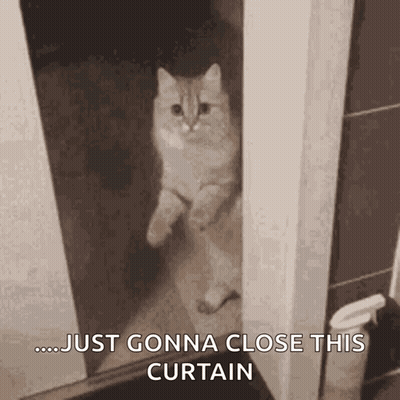 A Cat Is Peeking Out From Behind A Door With The Words `` Just Gonna Close This Curtain '' . GIF