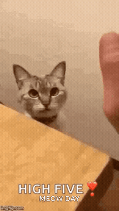 A Cat Is Peeking Out From Behind A Table And Says `` High Five Meow Day '' . GIF