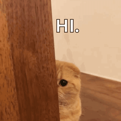 A Cat Is Peeking Out From Behind A Wooden Door . GIF