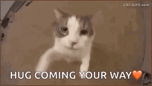 A Cat Is Peeking Out Of A Box With The Words `` Hug Coming Your Way '' Written On It . GIF