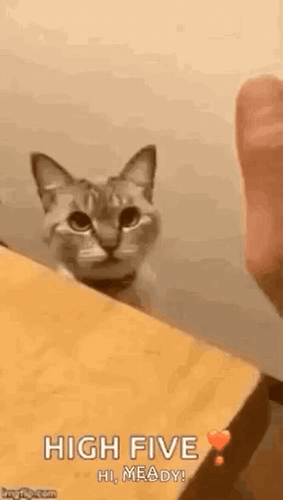 A Cat Is Peeking Over A Wooden Table And Looking At A Person . GIF