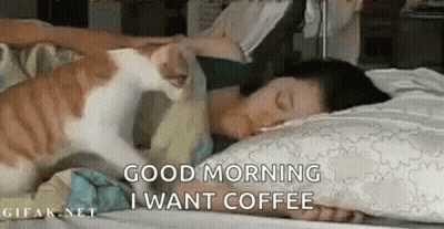 A Cat Is Petting A Woman 'S Head While She Is Sleeping On A Bed . GIF