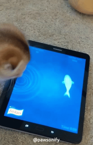A Cat Is Playing A Game On A Samsung Tablet GIF