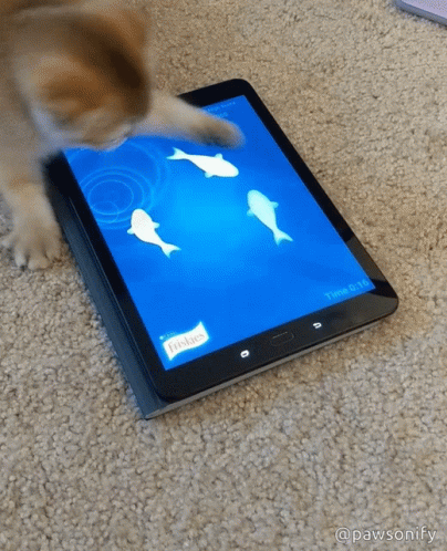 A Cat Is Playing A Game On A Tablet That Says Fishies On The Screen GIF