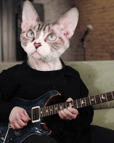 A Cat Is Playing A Guitar With The Letters Psr On The Neck GIF