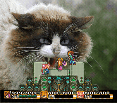 A Cat Is Playing A Video Game With The Numbers 800 And 800 On The Screen GIF