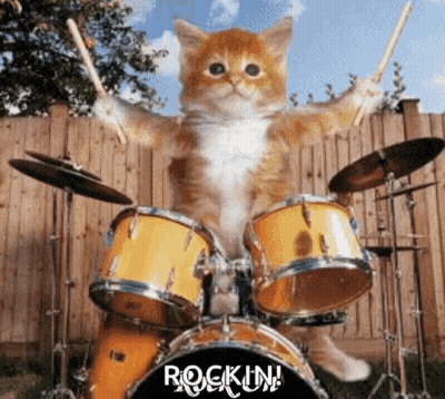 A Cat Is Playing Drums With The Word Rockin On The Bottom GIF