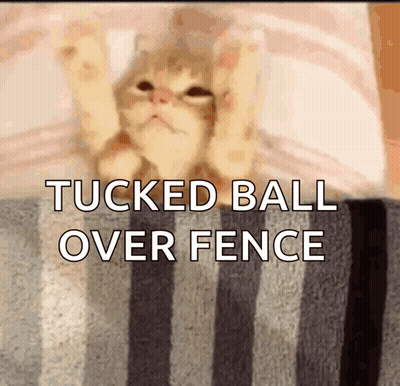 A Cat Is Playing With A Ball Over A Fence GIF