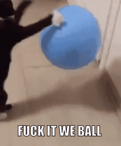 A Cat Is Playing With A Blue Ball With The Words " Fuck It We Ball " Below It GIF