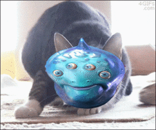 A Cat Is Playing With A Blue Toy That Looks Like A Fish GIF