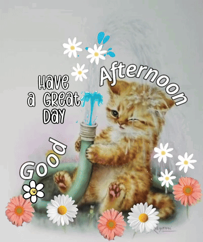 A Cat Is Playing With A Hose And The Words Have A Great Day GIF