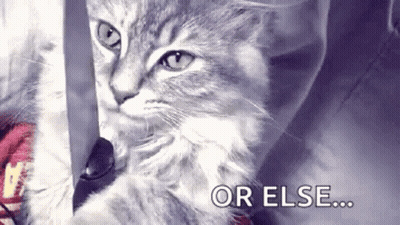 A Cat Is Playing With A Knife And The Words `` Or Else ... '' Are Written Below It . GIF