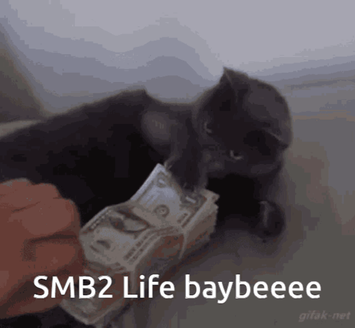 A Cat Is Playing With A Stack Of Money And The Caption Says Smb2 Life Baybeeee GIF