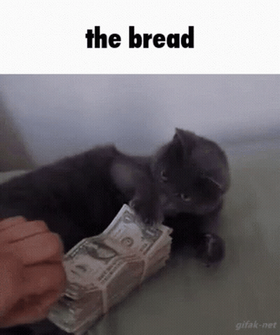 A Cat Is Playing With A Stack Of Money And The Words The Bread Are Above It GIF