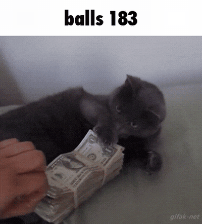 A Cat Is Playing With A Stack Of Money With The Words " Balls 183 " Above It GIF